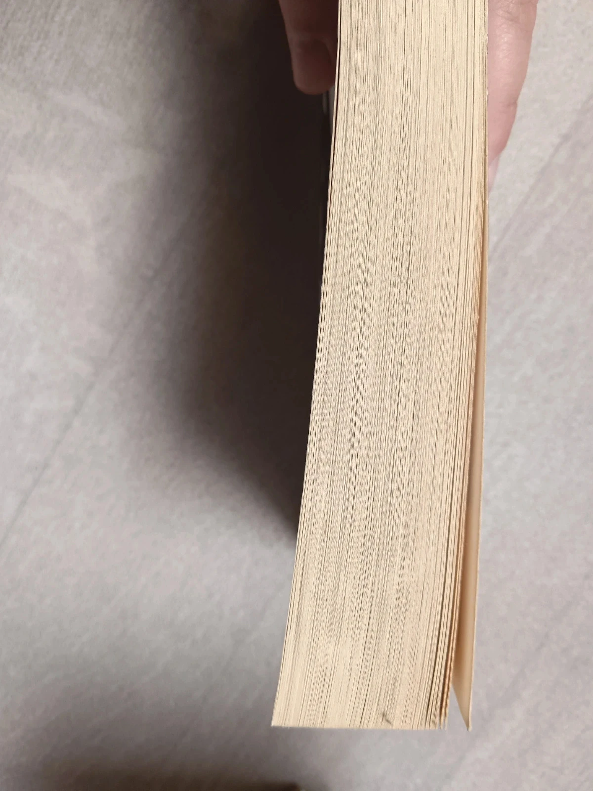 Musso Book – photo 3